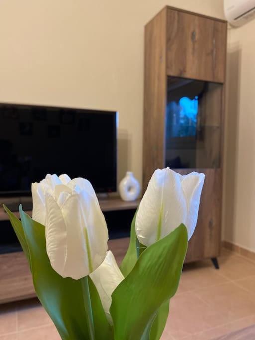 Apartmán Golden House Alexandrupoli Exteriér fotografie