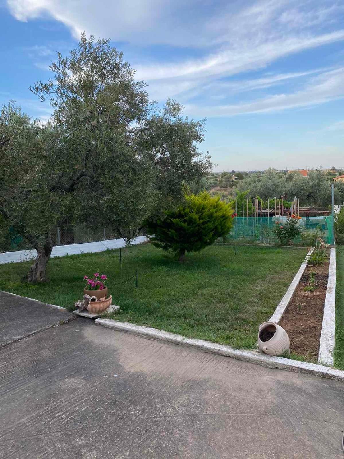 Apartmán Golden House Alexandrupoli Exteriér fotografie